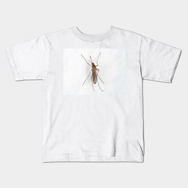 Mosquito on the wall Kids T-Shirt by SDym Photography